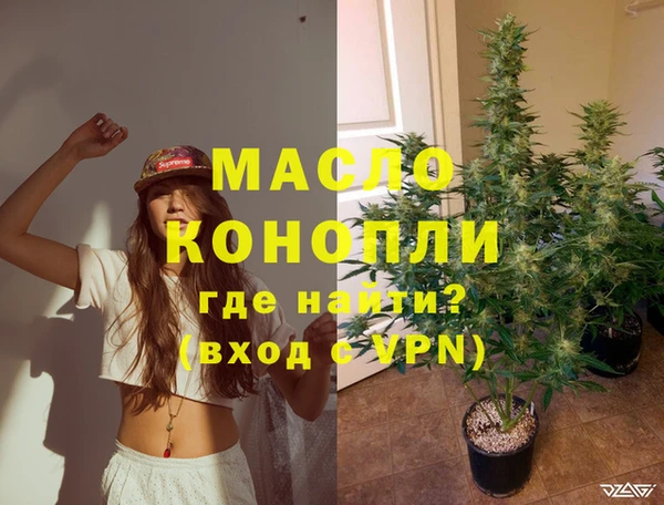 дмт Заводоуковск