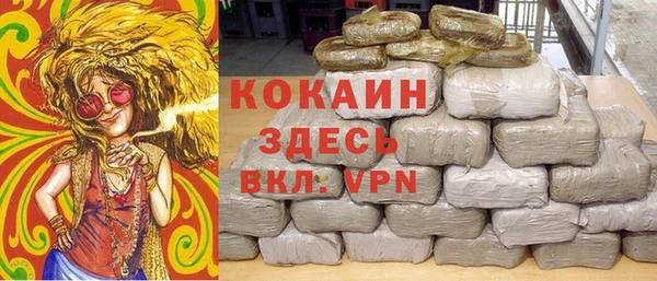 шишки Заволжск