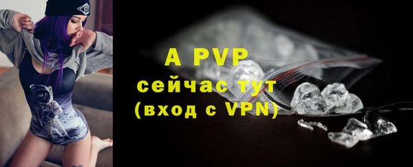 шишки Заволжск