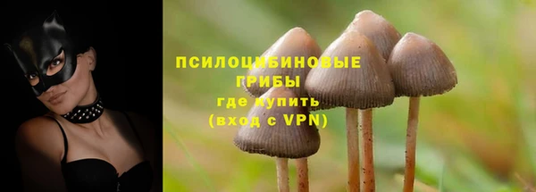 дмт Заводоуковск