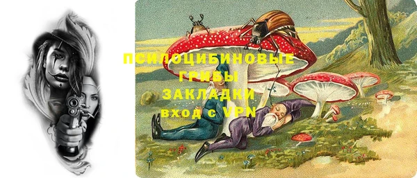 шишки Заволжск