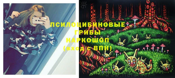 шишки Заволжск