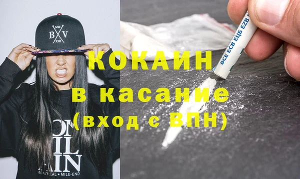 шишки Заволжск