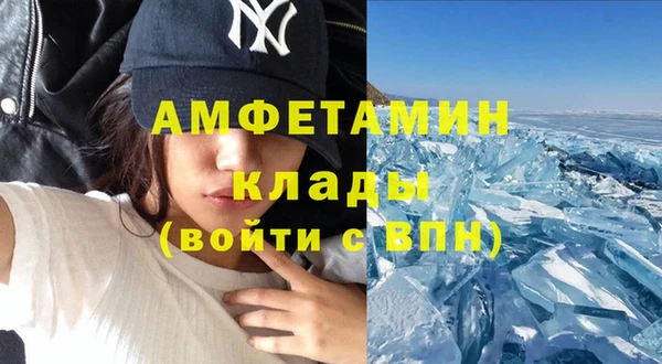 шишки Заволжск