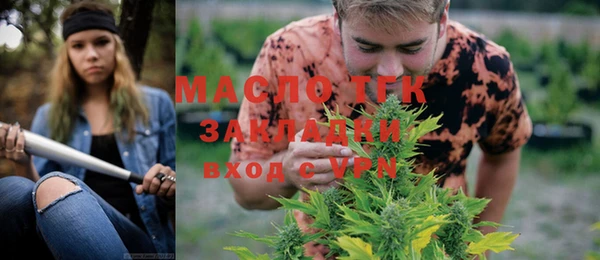 дмт Заводоуковск