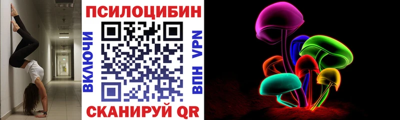 Галлюциногенные грибы Magic Shrooms  Купить закладки  Гусь-Хрустальный 