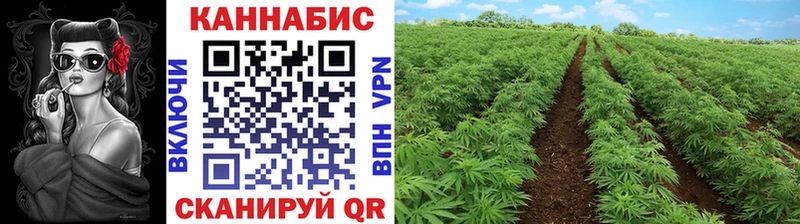 Купить закладки  Гусь-Хрустальный  Марихуана план 